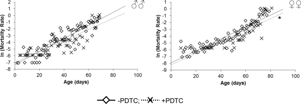 Effect of a NF-κB inhibitor (PDTC) on the rate of the age-dependent mortality
