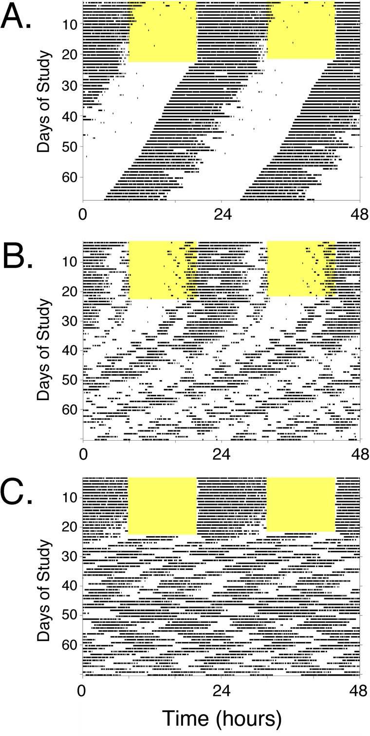 Locomotor activity rhythms of circadian mutant mice