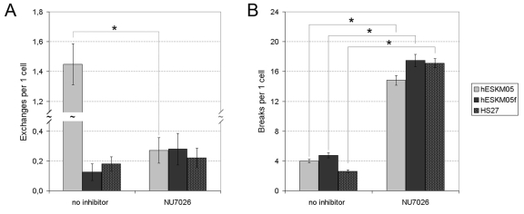 The influence of NU7026 (50 μM) on the frequency of radiation-induced chromatid-type aberrations (D = 1 Gy) in hESKM05, hESKM05f and HS27