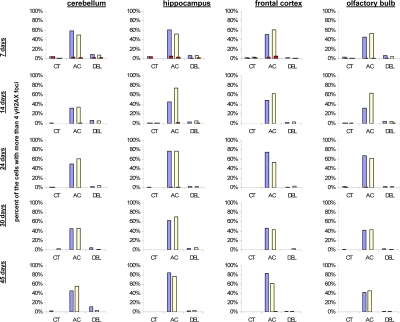 Levels of DNA damage and cell proliferation in cerebellum, hippocampus, frontal cortex and olfactory bulb tissues of 7, 14, 24, 30 and 45 days old sham-irradiated and 1Gy-irradiated male and female mice