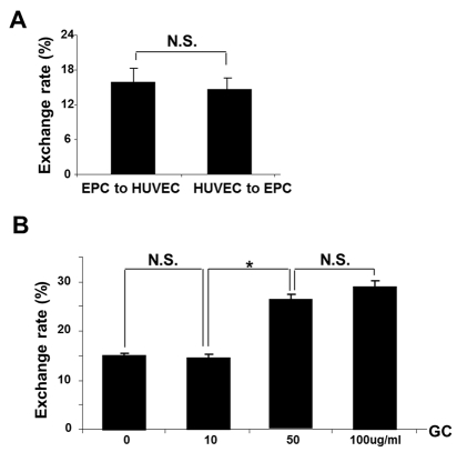 FACS analysis of bidirectional TNT lysosomal transfer between EPC and control (A) or stressed (B) HUVEC (n=5)