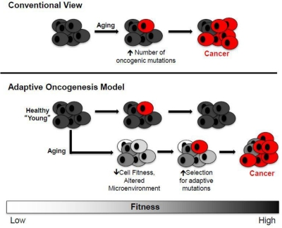 class="figure-viewer-img"