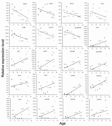 Representative plots of donor age versus normalized mRNA expression level for selective age-associated genes