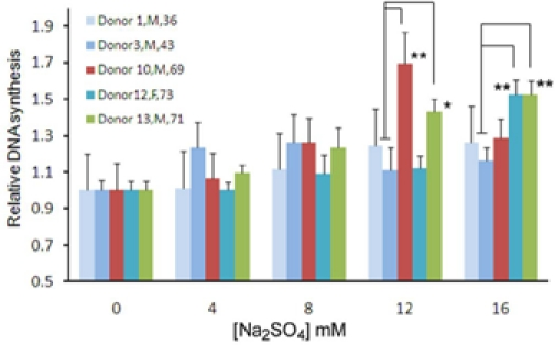 DNA synthesis measured by BrdU incorporation assays