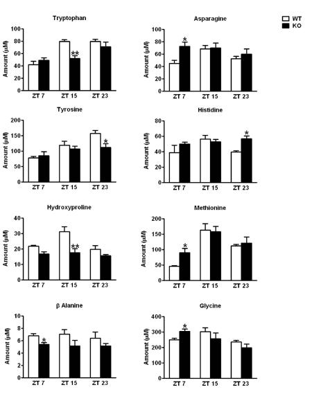 Alterations in the plasma amino acid levels in CD38-KO mice