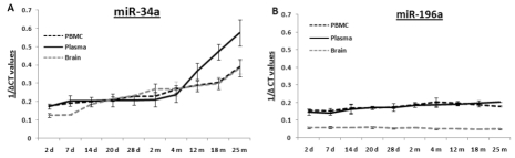 Age-dependent expression levels of two miRNAs in blood and tissue samples of C57/B6 mice