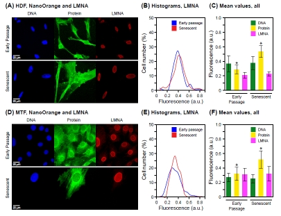 Combination of NanoOrange total protein staining with immunofluorescence microscopy