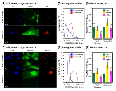 Co-staining of total protein and histone macro H2A