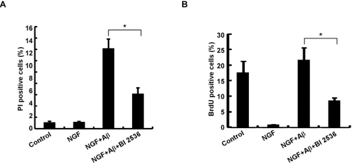 Plk1 is essential for neuronal cell death