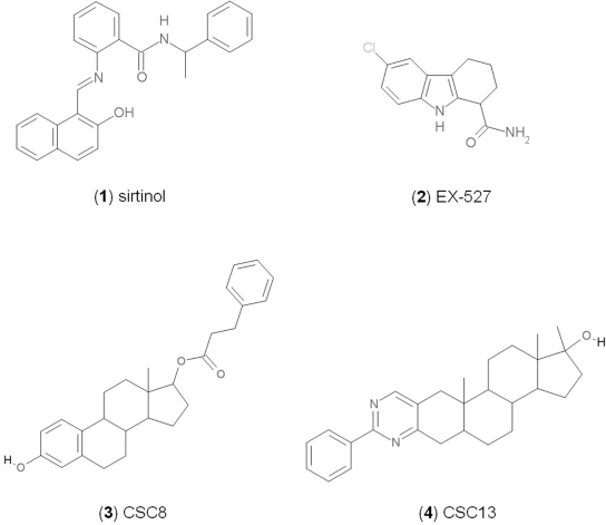 Chemical structures of known and novel Sirtuin inhibitors
