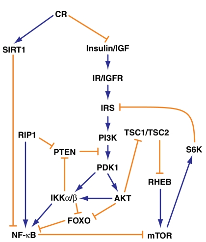 class="figure-viewer-img"