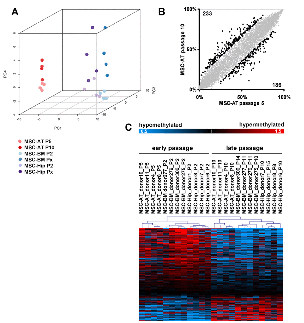 Senescence-associated modifications in the DNA-methylation pattern