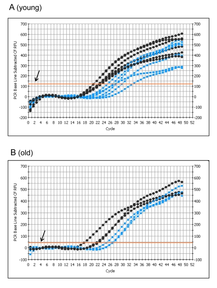 PCR analysis of GAPDH transcript levels from control and I/R plantaris muscle following 5 days of reperfusion