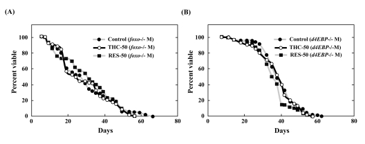 THC and RES do not extend the life span of foxo or d4E-BP mutants