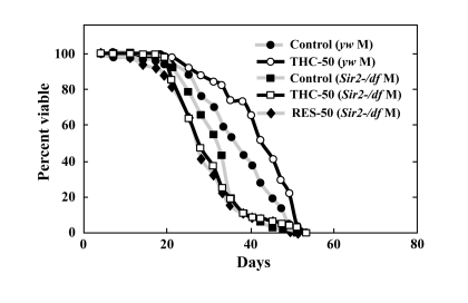 THC and RES do not extend the life span of Sir2 mutants