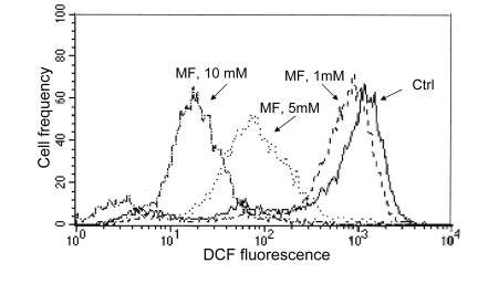 Effect of metformin on ability of TK6 cells to oxidize 2',7'-dihydro-dichlorofluorescein diacetate (H2DCF-DA)