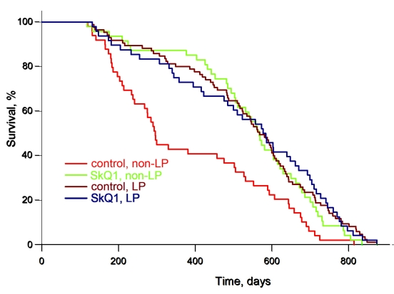 Low pathogen (LP) conditions extend the lifespan of female outbred SHR mice to the same degree as an optimal concentration of SkQ1. A total of 155 mice living in the LP vivarium of the Institute of Oncology in St. Petersburg were used. For comparison, data of experiments with 200 SHR mice living in the non-LP vivarium of the same institute and already published [3] are shown. Where indicated, the mice received 5 nmol SkQ1/kg per day (which was added to the drinking water) during their entire life.