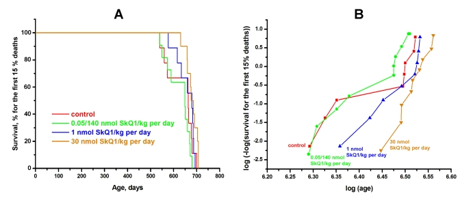 SkQ1 increases in dose-dependent manner the lifespan of female BALB/c mice if survival for the first 15% of deaths is considered. Three SkQ1 concentrations were used (nmol SkQ1/kg per day): (i) 1, (ii) 30, and (iii) 0.05 during the first 595 days and 140 for subsequent days. In B, p was 4.