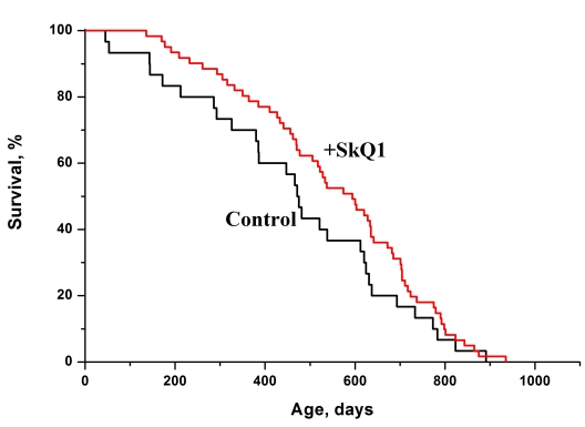 SkQ1 increases the lifespan of females of a wild rodent, the dwarf hamster Phodopus campbelli living in outdoor cages. A total of 91 animals were studied. Statistical significance p 
