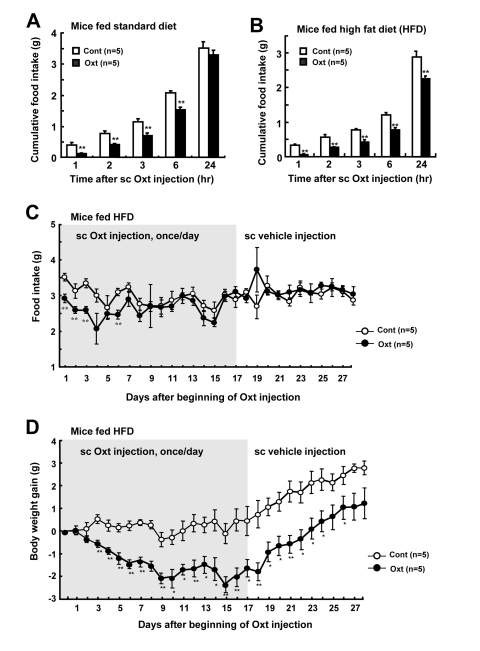 Daily sc injection of Oxt decreases food intake and body weight