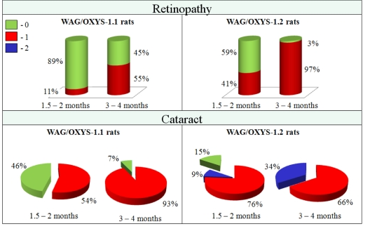 Cataract and retinopathy incidence in rats of WAG/OXYS-1.1 and WAG/OXYS-1.2 congenic strains at the ages of 1.5-2 and 3-4 months. Data are presented as a distribution of animal eyes with the stages of cataract and retinopathy (colors labeled with 0 through 2 correspond to a stage of cataract or retinopathy).