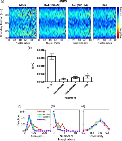 Imaging analysis of RAD001 and rapamycin treated HGPS cells