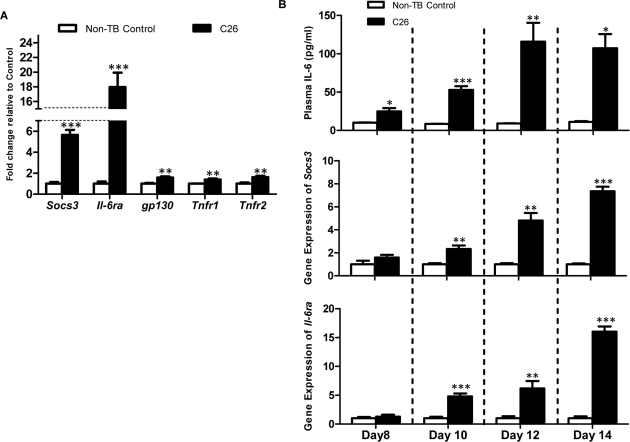 mRNA expression of signaling molecules of the IL-6 signal transduction cascade