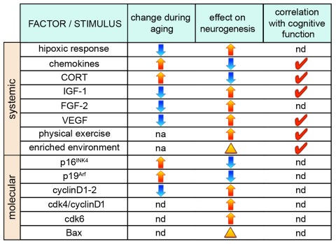 Factors influencing neurogenesis during aging