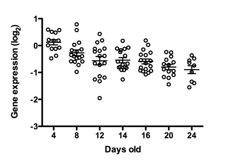cep-1/p53 transcript abundance decreases with age