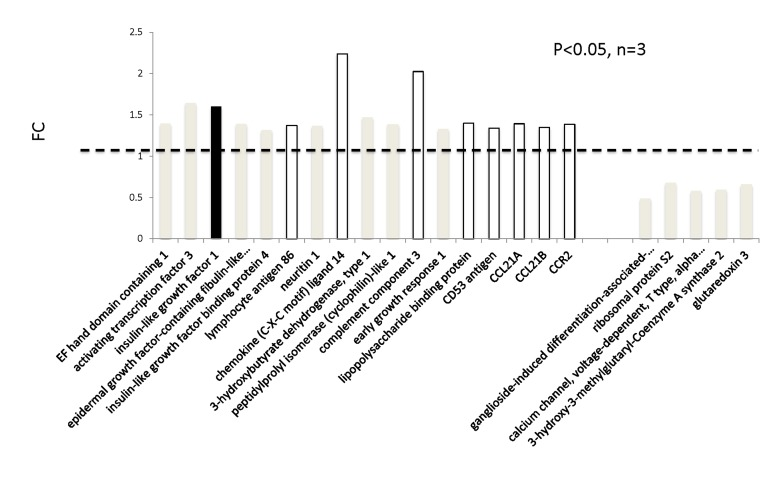 Transcriptomic analyses on the hearts of mIGF-1 Tg versus WT mice