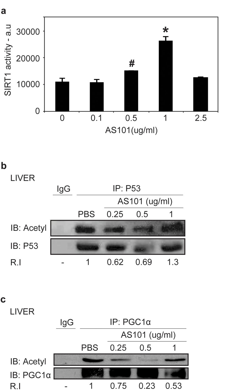 AS101 increases SIRT1 protein activity in vitro and in vivo