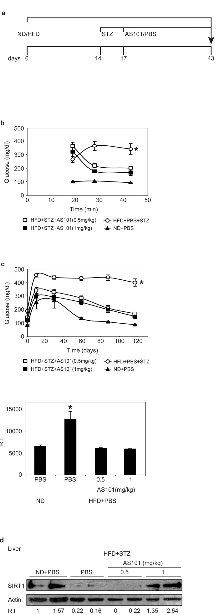 AS101 treatment after disease induction results in partial beneficial effects in the HFD+STZ T2D rat model