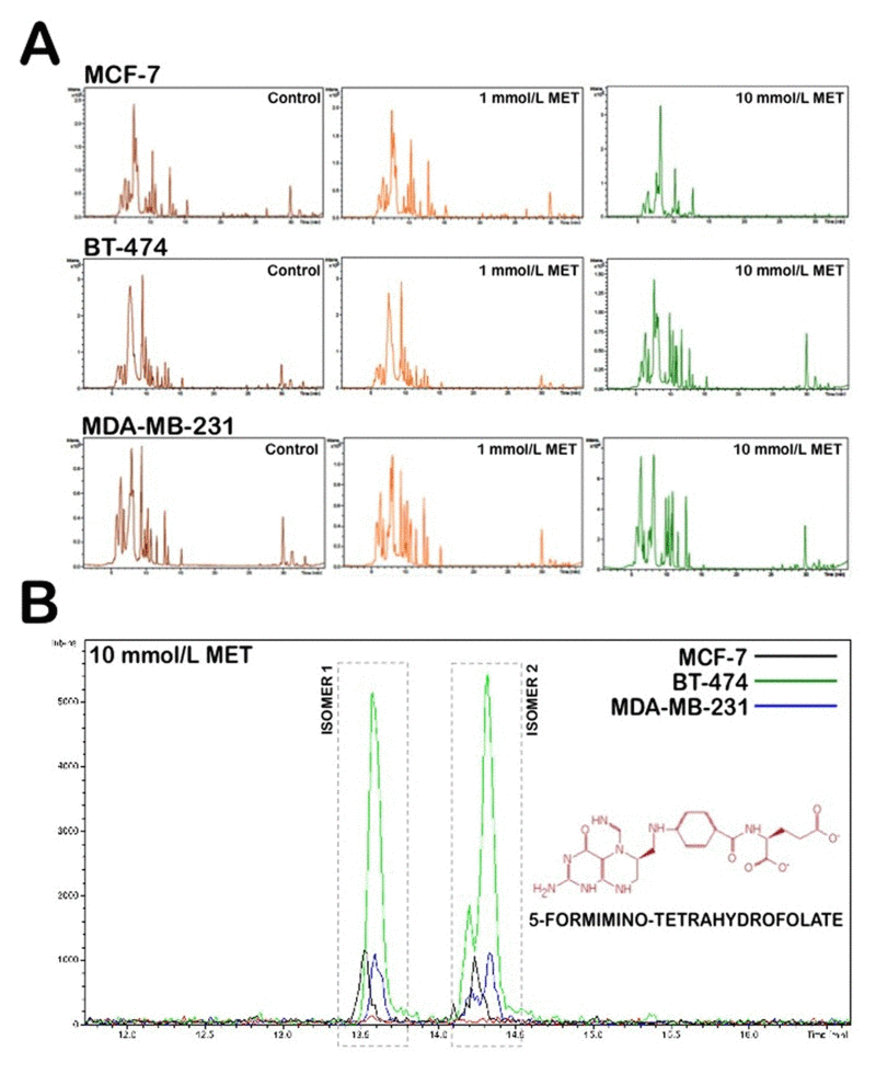 Application of nano-HPLC-ESI-QTOF-MS for the metabolomic analysis of metformin-treated breast cancer cells