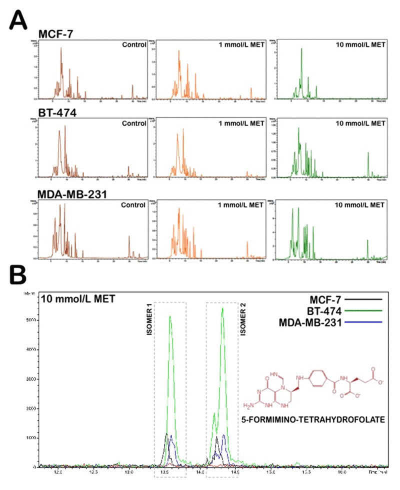 Metabolomic fingerprint reveals that metformin impairs one-carbon  metabolism in a manner similar to the antifolate class of chemotherapy  drugs