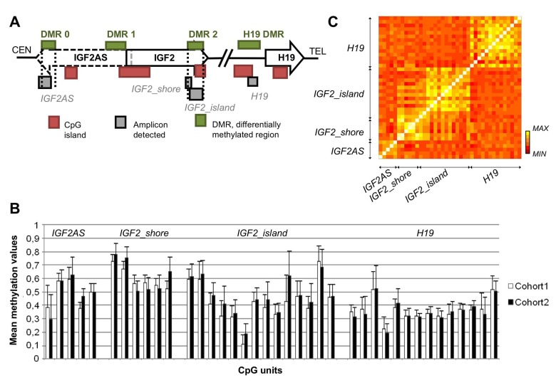 CpGs spatial localization and their methylation patterns