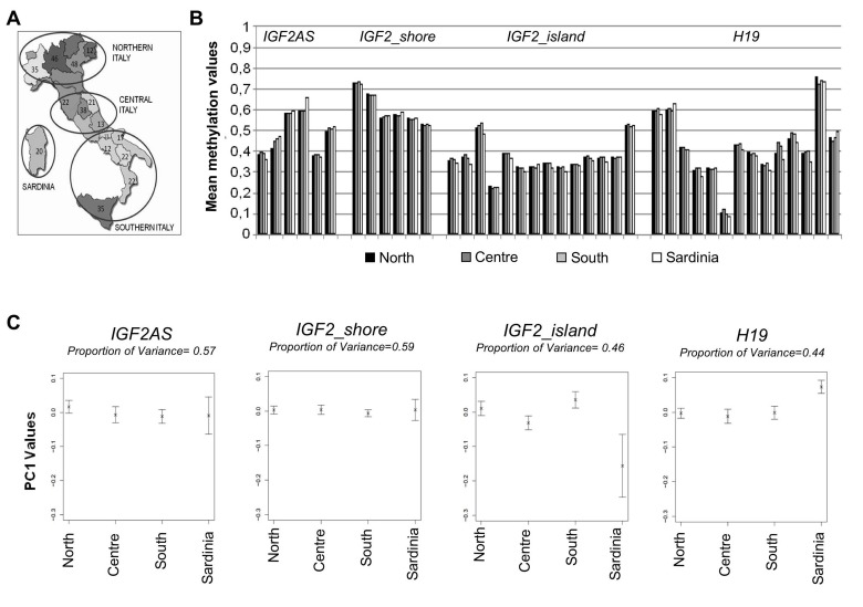 Methylation variation in cohort 1