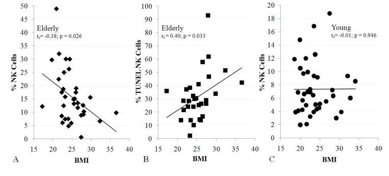 NK cells are related to BMI in the elderly (A, 34 subjects; B, 30 subjects), but not in the young (C, 38 subjects). Shown is BMI correlation with% NK cells (A, C) and NK cell apoptosis (B). All subjects were healthy, non-diabetic, and had BMI s) and significance are noted. Investigation has been conducted in accordance with the ethical standards and according to the Declaration of Helsinki and according to national and international guidelines and has been approved by the University of Kentucky human subjects review board.