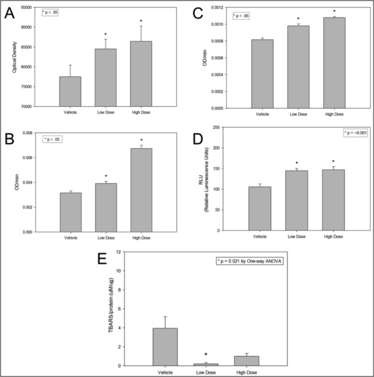 RhTFAM treatment improves brain mitochondrial functions and lowers oxidative stress damage to brain proteins and lipids