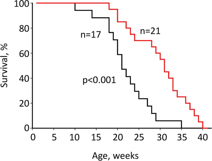 Rapatar increases lifespan in p53−/− mice. Mice received Rapatar at 0.5 mg/kg via gavage according to the schedule described in Materials and Methods. Rapatar increased lifespan from 23 to 31 weeks (p