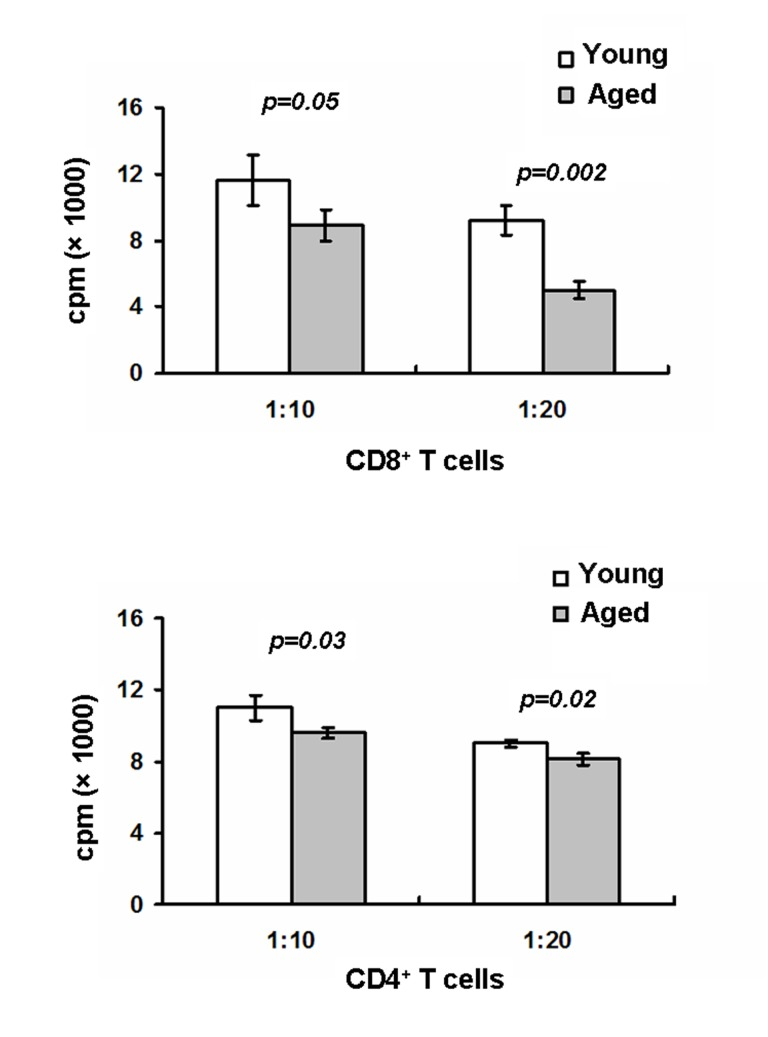 Aged mice exhibit defects in LC-mediated T cell proliferation
