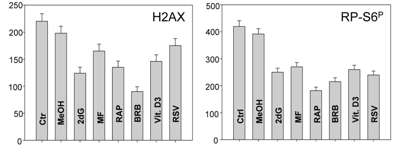 Effect of treatment of WI-38 cells with 2dG, MF, RAP, BRB, Vit. D3 or RSV for 24 h on the level of constitutive expression of γH2AX (left panel) and RP-S6P (right panel)