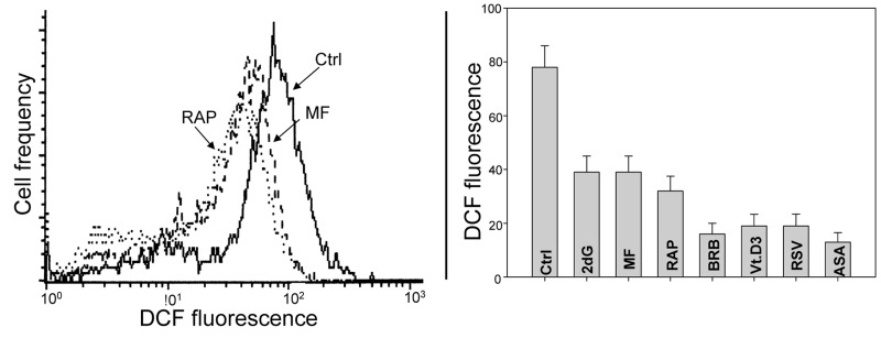 Effects of the studied gero-preventive agents on the intercellular level of ROS