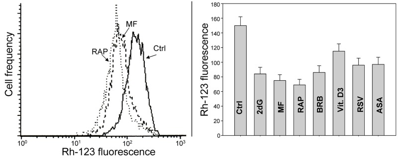 Effect of the studied gero-preventive agents on the mitochondrial transmembrane potential (ΔΨm)