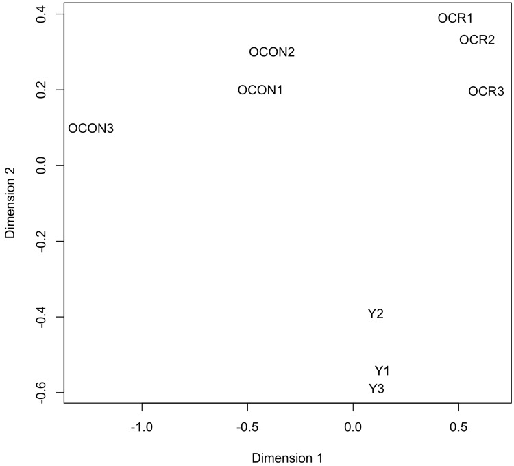 Clustering analysis of the expression values of the circulating miRNAs