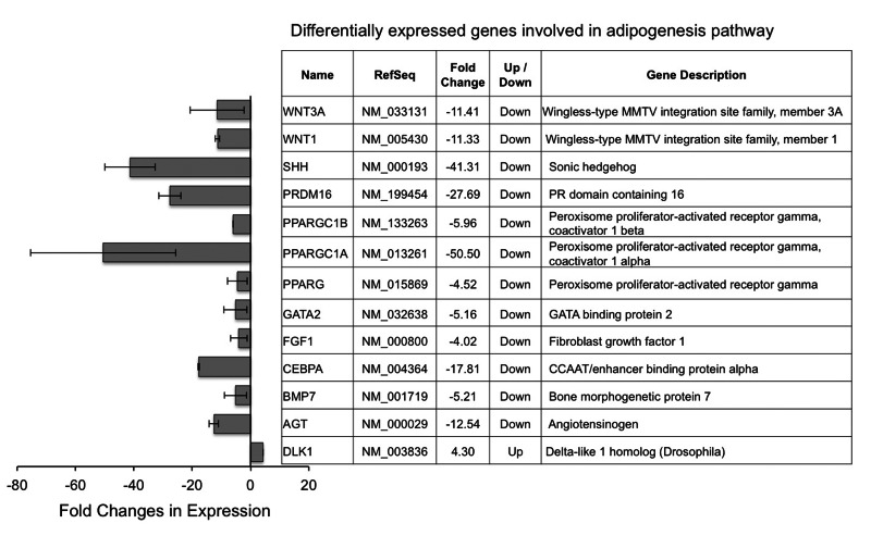 Differentially expressed adipogenic genes in HGPS adipocytes compared to normal adipocytes