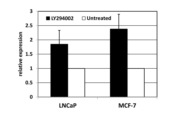 Inhibition of phosphoinositol-3-kinase elevates the expression of miRNA-506. LNCaP (prostate carcinoma) or MCF7 (breast carcinoma) cells were treated for 24 hours with PI3K inhibitor LY294002. The levels of miR-506 were measured using quantitative PCR with RNU6B as an internal standard, and normalized to those in untreated controls.
