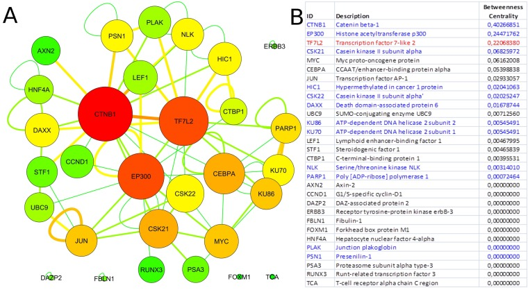 Tcf7l2 interactome