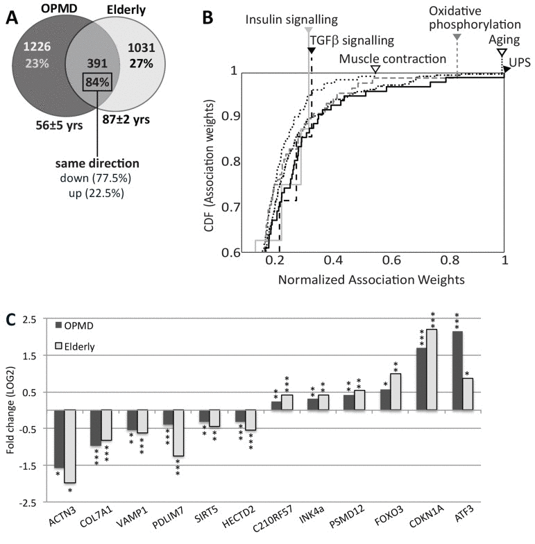 Similar expression profiles in OPMD and elderly muscles