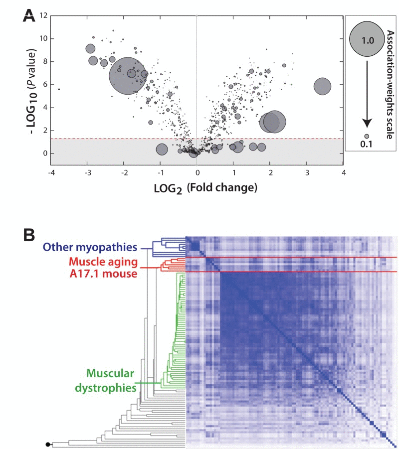 The transcriptome of the OPMD mouse model is highly associated with aging