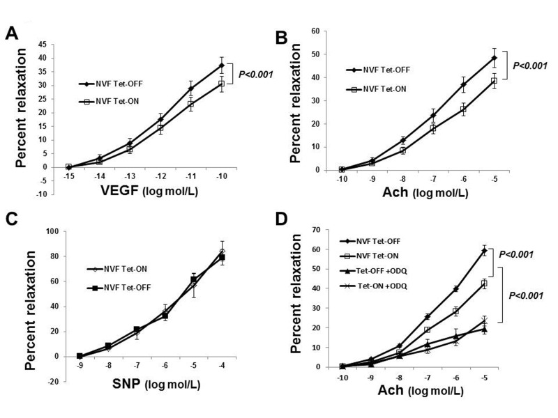 Increased coronary vasodilatation in Tet-OFF mice with higher EC-ROS